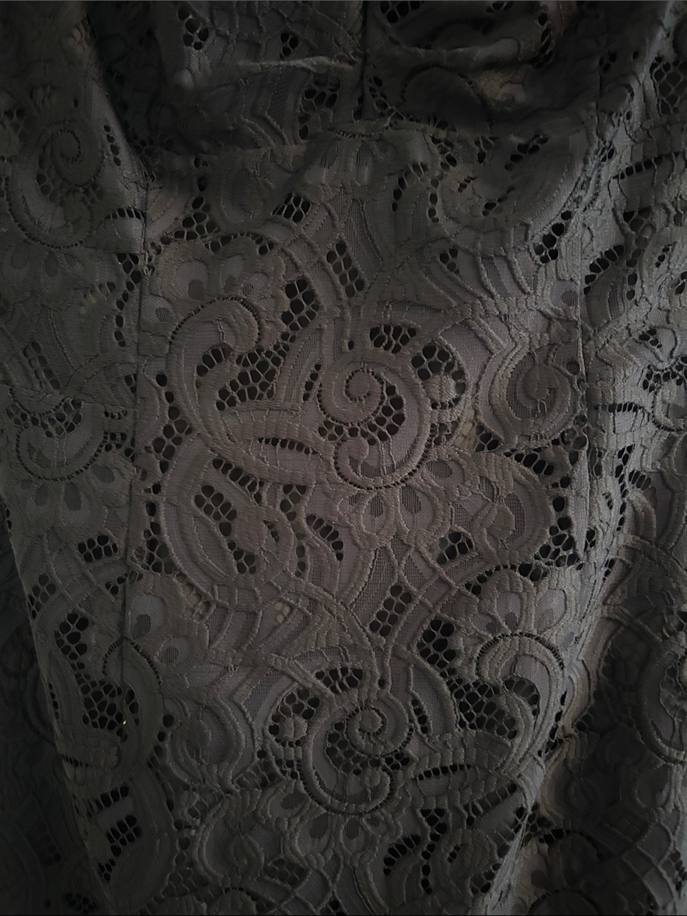 Lilly Pulitzer Black Lace Sleeveless Mini Dress - Picture 8 of 11